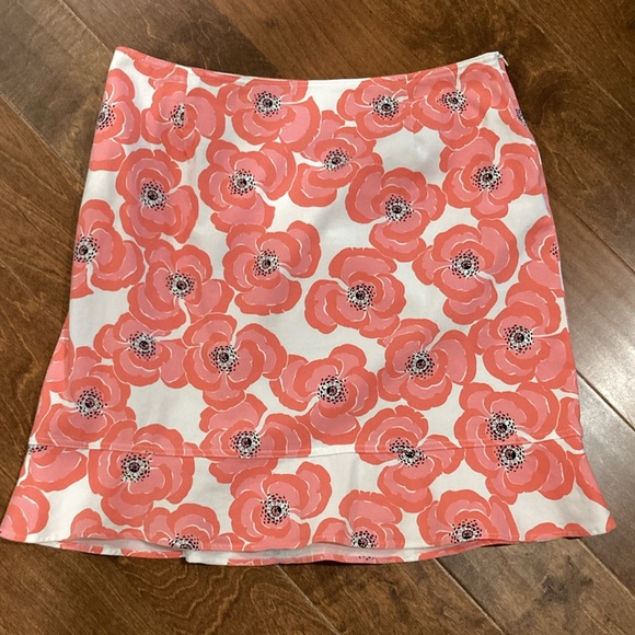 Briggs New York Dresses & Skirts - Precious Skirt +sz